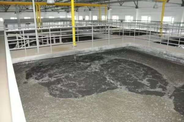 Application du Filtre-Presse à Membrane dans le Traitement des Eaux Usées Phosphatées